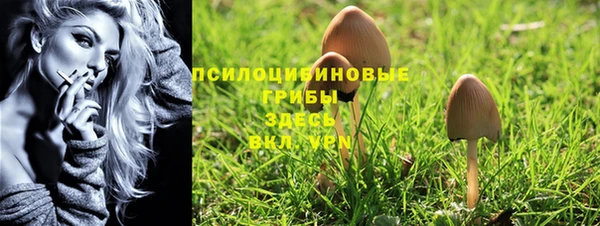 кокаин премиум Алексеевка