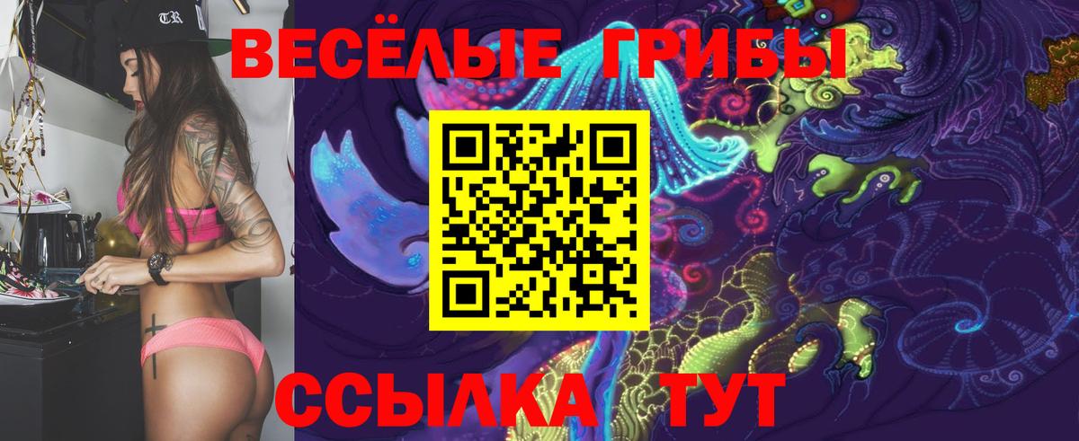 Псилоцибиновые грибы Magic Shrooms Котлас