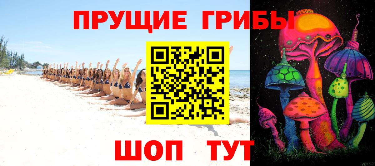 Галлюциногенные грибы Cubensis  Псилоцибиновые грибы прущие грибы  Вход с VPN  Котлас 